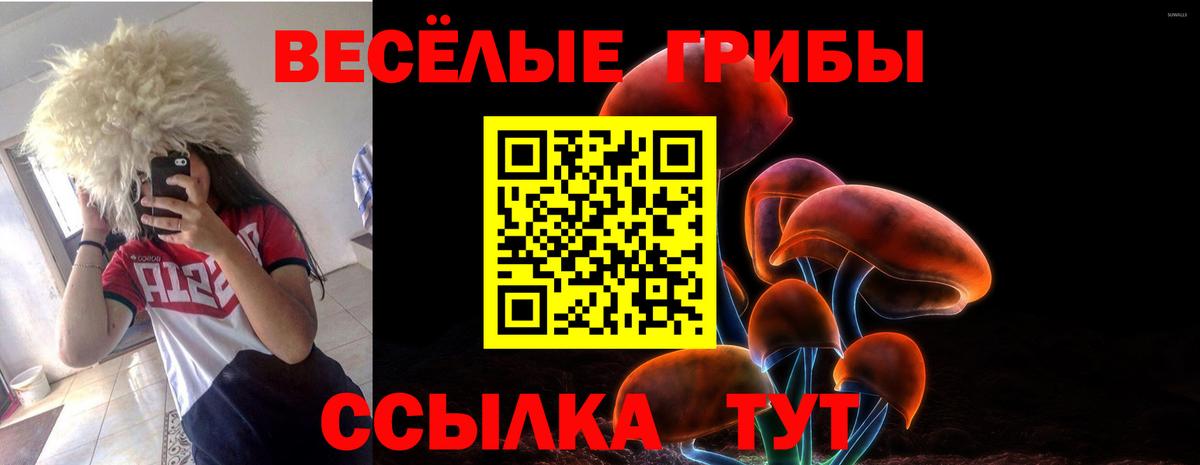 ГАШ  Вход с VPN  Марихуана  Каннабис  Котлас  МЕФ   Alpha PVP СОЛЬ   ЭКСТАЗИ 